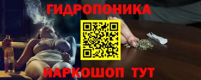 шишки Апшеронск