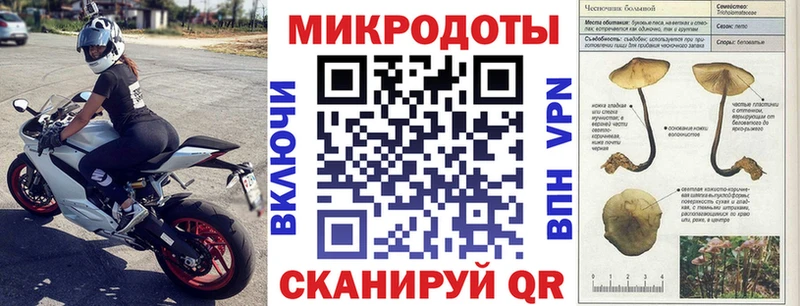Галлюциногенные грибы мухоморы  закладка  Белгород 