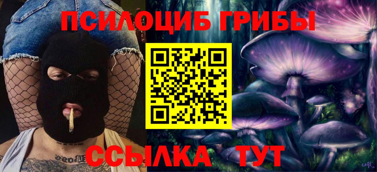 Псилоцибиновые грибы Psilocybine cubensis Белгород