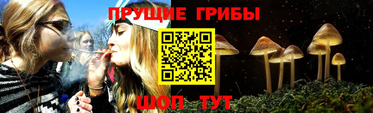 Псилоцибиновые грибы прущие грибы  Белгород  Псилоцибиновые грибы Magic Shrooms 