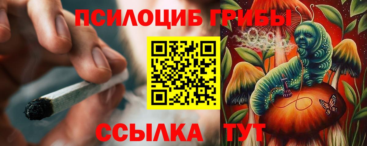 Галлюциногенные грибы Psilocybine cubensis  Вход с VPN  Белгород 